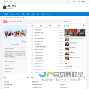 不学无术网